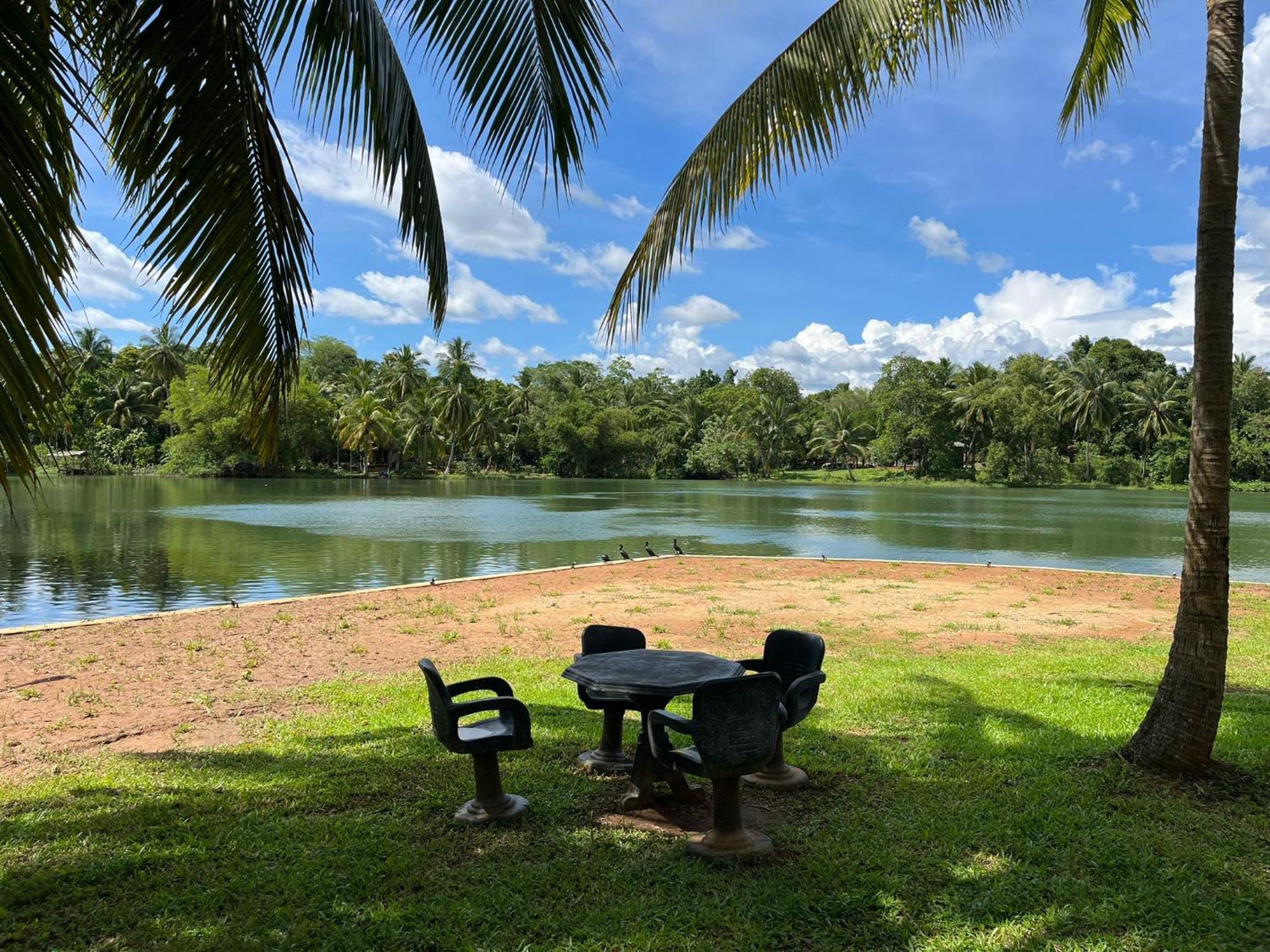 Yonan River Face Safari Resort Udawalawe Eksteriør billede